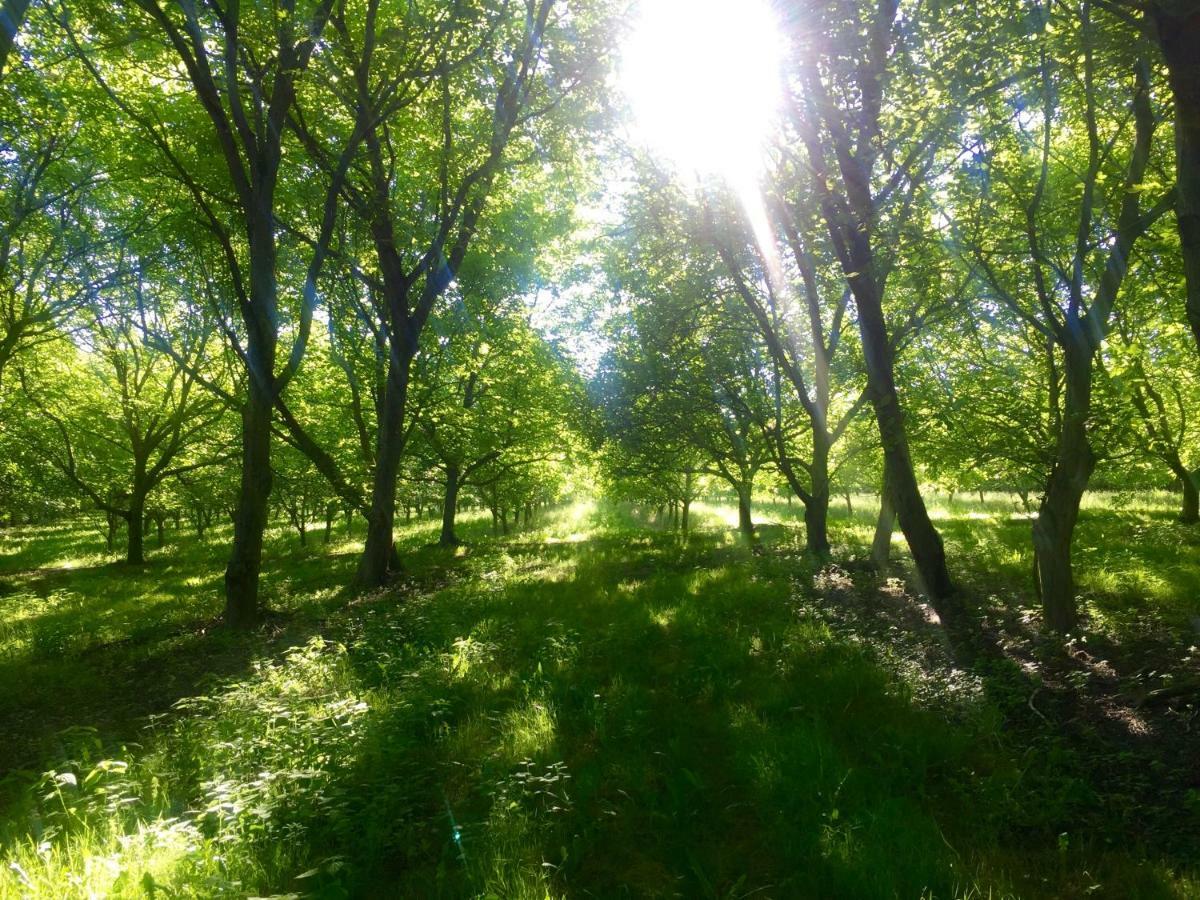 Challignac Le Chemin B&B 외부 사진
